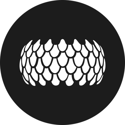 Sirin Labs Token (SRN) Logo